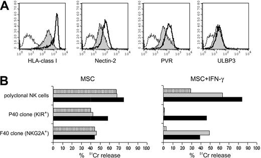 Figure 5. Effect of IFN-γ-induced up-regulation of HLA class I expression on the NK-mediated lysis of autologous MSCs. (A) Analysis of the surface density of HLA class I, Nectin-2, PVR, and ULBP3 molecules on IFN-γ-treated and untreated MSCs derived from donor 15. Filled profiles represent the antigen expression on untreated MSCs, whereas thick lines refer to MSCs exposed to 100 U/mL IFN-γ for 48 hours. Open profiles represent the negative control. (B) Percentage of lysis of untreated or IFN-γ-treated MSCs. Source of autologous effector cells were polyclonal NK cells or the KIR2DL2/3+ NKG2A- F40 clone or the KIR-- NKG2A+ P40 clone. The E/T ratio was 6:1 for polyclonal NK cells and 10:1 for the NK-cell clones. Cytolytic assays were performed in the absence of mAbs () or in the presence of anti-CD94/NKG2A () or anti-HLA class I (▪) mAb. Data are representative of experiments performed by using MSC and autologous polyclonal or clonal NK cells derived from 5 different donors.