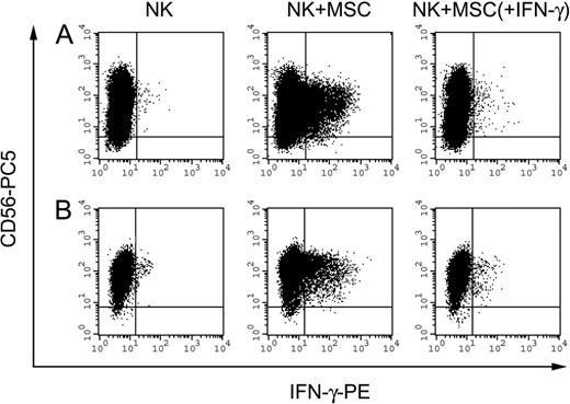 Figure 6. IFN-γ production by NK cells on interaction with MSCs. IFN-γ production by polyclonal activated NK cells after interaction with MSCs. Panels A and B represent 2 independent experiments performed in allogeneic and autologous settings, respectively. NK cells were incubated alone or in the presence of MSCs at an E/T ratio of 8:1. MSCs were untreated or treated with 100 U/mL IFN-γ (identified as MSC + IFN-γ) for 48 hours before their use in the experiment. After 5 hours of culture in the presence of 100 U/mL IL-2 and monensin-containing GolgiStop, cells were collected, and double staining was performed. To detect the frequency of IFN-γ-positive cells, NK cells were stained with anti-CD56-PC5 and anti-IFN-γ-PE mAbs and were analyzed by flow cytometry. Events (5 × 104) were acquired and analyzed by gating on low FSC, low SSC cells.