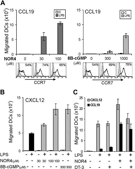 Figure 4. NO induction of migration toward CCL19 is only partially dependent on the cGMP/cGK pathway. (A-B) iDCs were treated or not for 24 hours with 0.3 μg/mL LPS in the presence or absence of graded doses of NOR4 or 8B-cGMP. Surface expression of CCR7, percentages of positive cells (%) are indicated. Chemotactic responses toward CCL19 (A) or CXCL12 (B) are shown as the mean of duplicate cultures ± SEM. Data shown are representative of 3 independent experiments. (C) iDCs were treated or not for 24 hours with 0.3 μg/mL LPS in the presence or absence of 100 μM NOR4 with or without 500 nM DT-3 (cGK inhibitor) and tested for their chemotactic response toward CCL19 or CXCL12. Data shown are representative of 3 independent experiments.