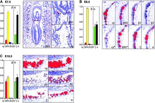 Figure 1. Changes in globin gene mRNA accumulation. (A) E7.5 yolk sac, (B) E8.5 yolk sac, and (C) E10.5 peripheral blood. Relative levels (mean ± SEM of at least 3 independent experiments) of the β-globin genes (ϵy, βH1, β1, and β2) and of the α-globin genes (ζ, α1/α2) quantified by qPCR are shown on the left. Total β- and total α-like globin transcript levels are each considered as 1. Expression of these same genes by in situ hybridization is shown in the right panels. Arrowheads indicate blood islands. For comparison, at each developmental time point, similar exposures of all of the globin genes are shown. In panel B, short exposures of the βH1- and ϵy-globins, marked by asterisks, highlight their differential transcript accumulation. ζ- and α1/α2-globin transcripts were not consistently detected at E7.5 (data not shown). Images were processed as described in “Materials and methods.”