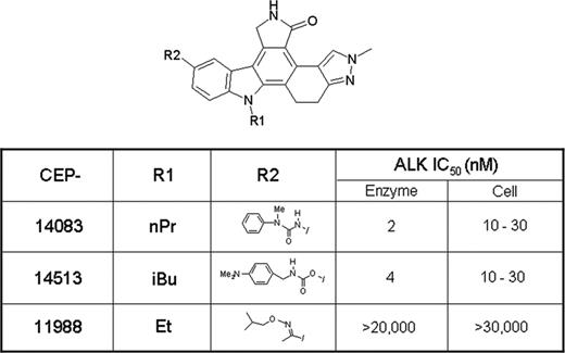 Figure 1. The enzymatic and cellular ALK inhibitory activity of FP kinase inhibitors. The IC50 values from in vitro enzymatic and cellular assays were calculated as described in “Materials and methods.” nPr indicates nPropyl; iBu, isobutyl; and E+, ethyl.