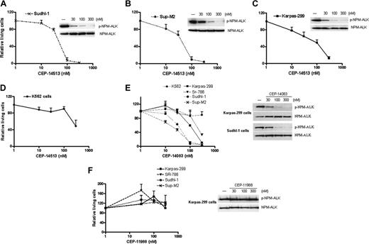 Figure 4. ALK activity is essential for the proliferation of ALK+ ALCL cells in culture. ALK+ ALCL cell lines (Karpas-299, SR-786, Sup-M2, and Sudhl-1) and ALK- cells (K562) were seeded on 96-well plates and treated with compounds at indicated concentrations for 48 hours. Viable cells were detected with MTS assay. The values presented are the average of relative cell numbers from 2 independent experiments with standard error. The effects of compounds on ALK tyrosine phosphorylation in ALCL cells are shown, in which the ALCL cells were treated with compounds at indicated concentrations for 2 hours and phospho- and total NPM-ALK were detected by immunoblotting as described in “Materials and methods.”