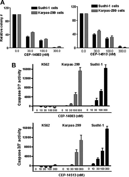Figure 5. ALK inhibition leads to inhibition of colony formation and enhanced caspase activity in ALK+ ALCL cells. (A) ALK+ ALCL cells were treated with indicated concentrations of CEP compounds for 24 hours. The cells were diluted with 0.65% agar in culture medium with or without compounds and seeded on 35-mm3 culture dishes at density of 2 × 103/dish. The plates were cultured until individual colonies were formed. The values presented are the average of relative colony numbers from 2 independent assays with standard error. (B) ALK+ ALCL cells (Karpas-299 and Sudhl-1) or ALK- cells (K562) were seeded on 96-well plates and treated with CEP compounds at indicated concentrations for 24 hours. Caspase 3/7 activity was quantitated with apo-one homogenous caspase 3/7 assay kit. The values presented are the average of relative caspase 3/7 activities from 3 individual samples with standard error.