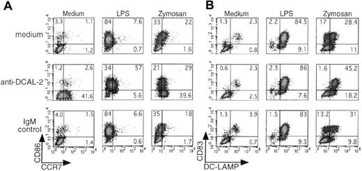 Figure 4. DCAL-2 ligation induces CCR7 expression on iDCs and TLR-stimulated DCs. iDCs were stimulated with or without LPS (1 μg/mL) or zymosan (100 μg/mL) in the presence or absence of anti-DCAL-2 (10 μg/mL) or IgM control (10 μg/mL). After 24 hours, cells were harvested and washed, then double stained with (A) anti-CD86 and anti-CCR7 or (B) anti-CD83 and anti-DC-LAMP as described in “Materials and methods.” Results are representative of 4 independent experiments.