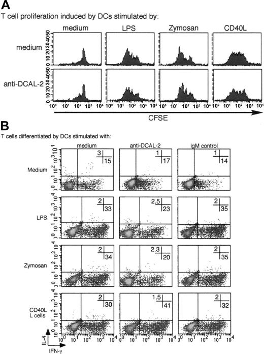 Figure 7. The presence of DCAL-2 signaling during DC maturation modulates DC-directed T-cell differentiation. iDCs were stimulated with LPS, Zymosan, and CD40L with or without anti-DCAL-2 for 24 hours, then mixed with allogeneic CD4+CD45RA+ T cells labeled with CFSE for 4 days to stimulate T-cell proliferation (A), or T cells were recovered and restimulated with PMA and ionomycin for 1 hour before adding brefeldin A and cultured for a further 5 hours (B). Cells were then fixed and stained for IL-4 and IFN-γ. Results are representative of 4 independent experiments.