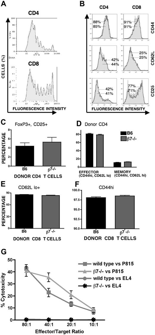 Figure 2. WT and β7-/- T cells do not differ in activation or alloreactive proliferation and have intact cytotoxicity. WT and β7-/- donor T cells were labeled with CFSE and were injected intravenously into sublethally irradiated (750 cGy) B10.BR recipients. Donor splenic T cells from recipient mice were analyzed 72 hours after infusion. (A) Histogram overlay of dividing donor CD4+ and CD8+ CFSE-labeled T cells (shaded area, β7-/-; outline, WT) show nearly identical proliferation kinetics. (B) CD44, CD62L, and CD25 expression on CD4+ and CD8+ donor T cells, with percentage positive T cells expressed as a percentage of fast proliferating T cells (outline = β7-/-; shaded area = WT). (C) Lethally irradiated (1300 cGy) B10.BR recipients underwent transplantation with 5 × 106 WT TCD BM and either 1 × 106 WT or β7-/- splenic T cells, and spleens were analyzed at day 11 after HSCT by flow cytometry. Graph represents the percentage of donor-derived CD4+CD25+FoxP3+ T cells (P = NS). (D) Mice underwent transplantation and harvest as in panel C. Percentage of donor CD4+CD44hiCD62Llo (effector) and CD4+CD44hiCD62Lhi (central memory) populations. (E) Percentage of donor CD8+CD62Llo population. (F) Percentage of donor CD8+CD44hi population. (G) Splenocytes from B6D2F1 HSCT recipients of WT versus β7-/- T cells were analyzed at day 14 after HSCT against syngeneic (EL4) and allogeneic (P815) target cells (n = 5).