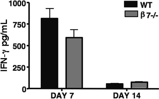 Figure 5. Recipients of β7-/- donor T cells and of WT T cells generate similar levels of serum IFNγ. Lethally irradiated (1300 cGy) B10.BR recipients underwent transplantation with 5 × 106 WT TCD-BM and either 1 × 106 WT or β7-/- splenic T cells. Serum levels of IFNγ were determined by ELISA at day 7 and 14 after transplantation. Shown are combined results of 2 experiments (n = 9). P = .08 at day 7, and P = .751 at day 14.
