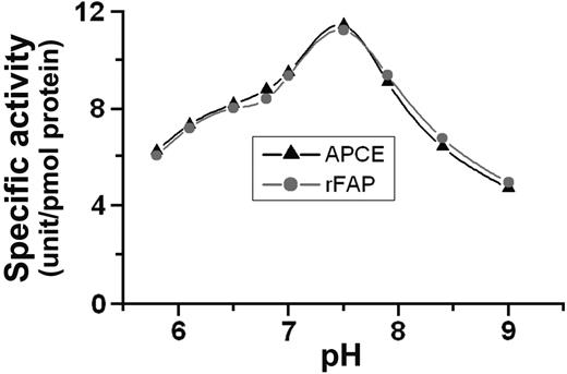 Figure 2. pH curve. FRET peptide, Arg-Lys(DABCYL)-Thr-Ser-Gly-Pro-Asn-Gln-Glu-Gln-Glu(EDANS)-Arg was incubated with purified APCE or rFAP at the indicated pH. Two buffer systems were used: 0.1 M sodium phosphate for the pH range 5.8-7.5 and 0.1 M Tris-HCl for the pH range 7.9-9.0; each value represents the average of duplicate incubations. One unit of enzyme activity is defined as picomoles of Asn-Gln-Glu-Gln-Glu(EDANS)-Arg released per minute at 22°C.