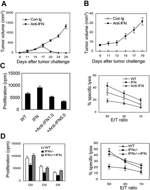 Figure 6. IFN-γ plays an essential role in NK-induced CD8+ responses. (A) In vivo IFN-γ blockade leads to outgrowth of Ag104Ld LIGHT tumor at the primary tumor challenge. C3B6F1 mice were subcutaneously inoculated with Ag104Ld LIGHT tumor cells and treated twice weekly with anti–IFN-γ antibody or control anti–rat Ig for 2 weeks. (B) Blocking IFN-γ causes tumor growth at the secondary tumor challenge. The C3B6F1 mice were subcutaneously inoculated with 1 × 107 Ag104Ld tumor cells after 40 days of primary Ag104Ld LIGHT tumor rejection and treated with anti–IFN-γ antibody or control anti–rat Ig as previously described. (C) IFN-γ blockade impairs NK cell–induced CD8+ cell proliferation. rLIGHT-preactivated NK cells from Rag-1-/- mice were incubated with the culture of 2C T and irradiated Ag104Ld cells with different doses of anti–IFN-γ antibody or 100 ng/mL rIFN-γ for 7 days. 3H-TdR incorporation and specific lysis assays were performed as previously described. (D) IFN-γ–deficient mice impair NK cell–induced CD8+ proliferation and lytic activity. rLIGHT-preactivated NK cells from Rag1-/- or Ifng-/- mice were added to the culture of 2C T and irradiated Ag104Ld cells at days 0, 3, and 5 for 7 days. NK cells from Ifng-/- mice showed reduced responses (P < .01). rIFN-γ was added to the culture of Ifng-/- NK cells at the indicated times. Data analysis was performed by using the Student t test. Averaged results are expressed as mean plus or minus SD.
