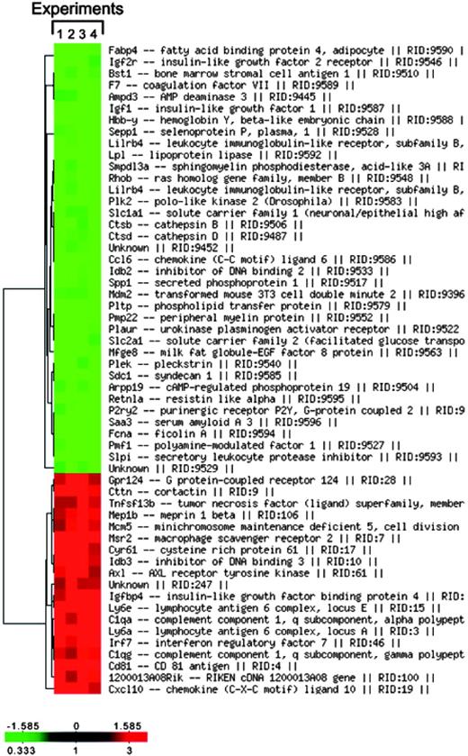 Figure 1. Hierarchical clustering of the TAM transcriptome in different experiments. Significantly modulated genes from the TAM transcriptome were clustered into a hierarchical representation, generated by the online NCI-MADB facility.23 Each column represents a particular experiment, whereas each row corresponds to the expression of a particular gene across different experiments. Gene names are indicated on the right. The color bar at the bottom left corner of the diagram correlates the degree of gene expression with the color scheme: up-regulated genes are represented in red, down-regulated genes in green, and unmodulated genes in black.