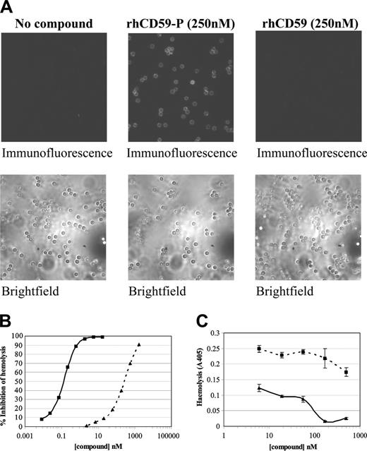 Figure 2. In vitro binding of rhCD59-P to erythrocytes and its consequences. (A-B) Guinea pig whole blood was washed and incubated in the presence or absence of either rhCD59-P or the control compound rhCD59 at the concentrations indicated. In panel A, blood cells were then washed and incubated with a fluorescently labeled anti–human CD59 antibody and compound binding was visualized by fluorescence microscopy. Corresponding brightfield images are also shown. In panel B, a hemolytic “reactive lysis” assay was performed on the guinea pig erythrocytes as described in “Reactive lysis assay.” In panel C, a Ham assay was performed on washed whole blood from PNH patient volunteers in the presence or absence of either rhCD59-P (solid line) or rhCD59 (dotted line). Data points show means of direct hemolysis ± SDs of triplicate values. A representative experiment is shown.