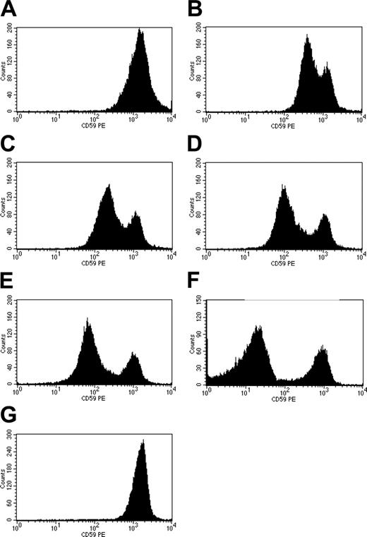 Figure 3. Binding of rhCD59-P to PNH erythrocytes. (A-E) Washed whole blood from PNH patients was incubated with rhCD59-P at 15 500 nM (A), 1938 nM (B), 969 nM (C), 484 nM (D), or 121 nM (E). Cells were washed and surface levels of human CD59 were determined by flow cytometry, using a fluorescent anti–human CD59 antibody. Untreated PNH cells are shown in panel F; normal human erythrocytes are shown in panel G.
