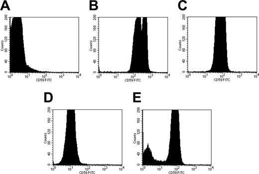 Figure 4. The transfer of rhCD59-P between PNH erythrocytes in vitro. Whole PNH blood (A) was incubated with 1850 nM rhCD59-P for 30 minutes at 37°C, followed by a PBS wash to produce “CD59-reconstituted” cells (B). A separate sample of PNH whole blood was diluted 1:100 in PBS and incubated in the presence of serum with the reconstituted cells at 37°C for either 1 minute (C) or 24 hours (D). As a negative control, non-PNH human blood was incubated with 1:100-diluted PNH whole blood for 30 minutes at 37°C (E). Surface levels of human CD59 were measured on all samples by flow cytometry using a fluorescent anti-CD59 antibody.