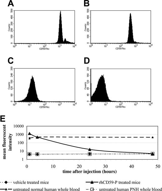 Figure 5. The binding of rhCD59-P to mouse erythrocytes following in vivo administration. CD1 mice (3 per group) were injected with either vehicle or rhCD59-P (10 mg/kg). Blood samples were removed from tail bleeds at time intervals, and surface levels of human CD59 were determined by flow cytometry using a fluorescent anti–human CD59 antibody. Histograms show data from the treated group following 1 hour (A), 4 hours (B), 24 hours (C), and 48 hours (D). The mean fluorescent intensities from each group are summarized in panel E.