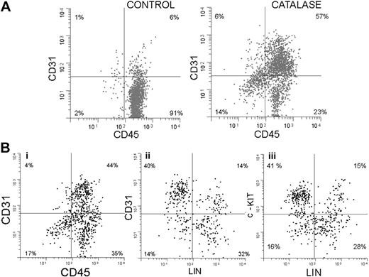 Figure 5. Endothelial markers expressed by lineage-negative cells from catalase-treated LTBMCs. (A) Two-dimensional histograms (cytograms) of CD31 (y-axis) plotted against CD45 (x-axis) after 3 weeks of culture with and without catalase. Sca-1+ cells are shown in black and Sca-1- cells are shown in gray. (B) Two-dimensional histograms (cytograms) showing the expression of (i) CD31 versus CD45, (ii) CD31 versus LN (lineage negative), and (iii) c-Kit versus LN by nonadherent cells collected after 3 weeks of culture in the presence of catalase.