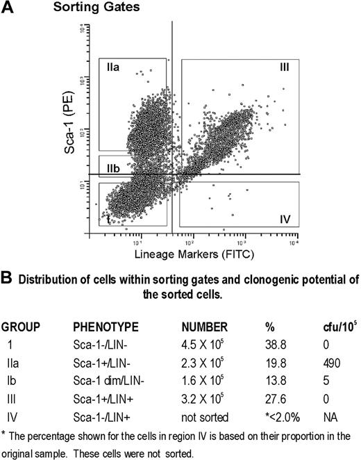 Figure 7. Sorting of Sca-1+/LIN- cells from catalase-treated LTBMCs. Sorting gates used to define populations of cultured cells expressing Sca-1 and lineage markers.