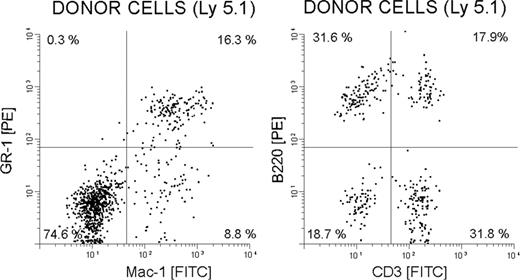Figure 8. Multilineage reconstitution of myeloablated mice by BM cells cultured with catalase 6 weeks after transplantation. Fluorescence-activated cell sorter (FACS) analysis demonstrating multilineage engraftment of donor-derived (CD45.1+) cells in the peripheral blood that are stained with Gr-1-PE and Mac-1-FITC (left) and B220-PE and CD3-FITC (right).