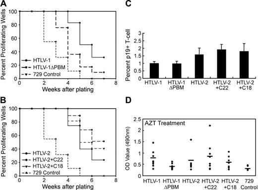 Figure 4. The Tax-1 PBM promotes HTLV-1–induced proliferation of human PBMCs. Prestimulated PBMCs (104) were cocultured with 2000 irradiated 729 stable producer cells in 96-well plates. The percentages of proliferating wells were plotted as a function of time (weeks). Representative Kaplan-Meier plots for wtHTLV-1 and HTLV-1ΔPBM (A), and for wtHTLV-2, HTLV-2+C22, and HTLV-2+C18 (B) are shown. (C) Tax-1 PBM does not significantly affect HTLV infectivity. The percentages of newly infected T cells (CD3+, p19+) were enumerated 3 days after plating by immunofluorescence analysis. The mean and SD for each sample were determined from 3 independent experiments using PBMCs from 3 different healthy donors. (D) AZT treatment did not abrogate the enhanced T-cell proliferation mediated by Tax-1 PBM. Microtiter cocultures were treated with 10 μM AZT from 24 hours after plating throughout the end of the experiment. At 4 weeks after plating, 8 random wells from each plate were subjected to the CellTiter96 proliferation assay. The OD values (λ = 490 nm) indicated in y-axis are in direct correlation with the number of proliferating cells in each well. Nontreated cocultures were set up as control. The mean values are indicated by the horizontal lines.