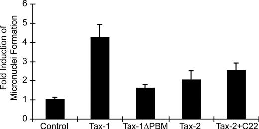 Figure 6. Tax-1 and Tax-2 induction of micronuclei. Micronuclei induction was evaluated in HeLa cells transiently transfected with cDNA expression vectors Tax-1, Tax-1ΔPBM, Tax-2, Tax-2+C22, or vector control. Cells were immunostained with CREST for kinetochore identification, and micronuclei induction was evaluated using confocal microscope. Data are presented as micronuclei counts per 1200 cells from 2 independent experiments.