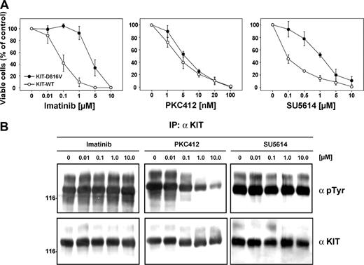 Figure 4. Effects of specific PTK inhibitors on KIT-transfected Ba/F3 cells. (A) Dose-response curves of the inhibitory activity of the PTK inhibitors imatinib, PKC412, and SU5614 in Ba/F3 KIT-WT and Ba/F3 KIT-D816V cells after 72 hours of incubation. Ba/F3 cells were seeded at a density of 0.05 × 106 cells/mL in the absence or presence of varying concentrations of imatinib, PKC412, and SU5614 and in the presence of 100 ng/mL recombinant human stem cell factor (SCF) in the case of KIT-WT. Viable cells were counted after 72 hours by trypan blue exclusion. The growth of untreated cells was defined as 100%. All values represent means and standard deviations from 3 independent experiments. (B) The 293 cells transfected with KIT-D816V were starved for 12 hours; treated with the indicated concentrations of imatinib, PKC412, and SU5614 for 2 hours; and lysed. Three hundred micrograms of each lysate was immunoprecipitated (IP) with α KIT antibody (α KIT) and immunoprecipitates were analyzed by Western blotting using antiphosphotyrosine antibody (αpTyr) and αKIT antibody.
