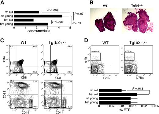 Figure 3. Analysis of the involuting thymus in Tgfb2+/- and wt mice. (A) Ratio of cortical to medullary surface area in Tgfb2+/- (het) and wt mice (n = 12 sections from 3 thymi; young are 8 weeks old, old are 14-16 months old). (B) Representative example of hematoxylin and eosin-stained thymi from 16-month-old wt and Tgfb2+/- mice (original magnification, × 10). (C) Representative example of staining of thymi from wt and Tgfb2+/- mice for CD4 and CD8 (top panels) and for CD25 and CD44 (bottom panels, gated on cells negative for CD3, CD4, CD8α, CD8β, B220, Ter119, NK1.1, Gr-1, Mac1). (D) Representative example of the detection of ETPs (lin- CD25-c-kit+IL7Rα-/lo, plots gated on cells that were negative for CD25, CD3, CD8α, CD8β, TCRαβ, TCRγδ, NK1.1, CD19, Mac1, GR1, B220 and Ter119) in wt and Tgfb2+/- thymi (top panels), and frequency of ETPs in thymi from young (2-6 months) and old (14-16 months) Tgfb2+/- mice and wt littermates (n = 4 litters in young mice and 5 litters in old mice; 2 mice from each genotype and each litter were pooled for each analysis).