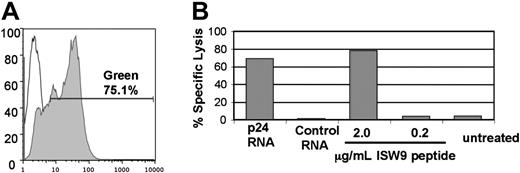 Figure 1. mRNA transfection is an efficient method for antigen delivery to APCs. (A) Greater than 75% transfection efficiency of DCs electroporated with GFP mRNA. MDDCs were transfected with 10 μg GFP mRNA (filled histogram) or mock transfected (open histogram). The degree of GFP expression was measured by FACS 24 hours after transfection. (B) mRNA transfection primes APCs for lysis by specific CTLs. Lysis of HLA-B57+ BLCLs by a CTL clone specific for the B57-ISW9 epitope (ISPRTLNAW) of HIV p24 was determined with a 51Cr-release assay at an effector-target ratio of 3:1. BLCLs were transfected with 10 μg of mRNA encoding p24 or irrelevant control mRNA. The transfected cells were loaded with ISW9 peptide as positive control or left untreated as a negative control. Results shown are the average of duplicate wells. By comparing the percent specific lysis of p24-transfected targets (68%) to percent specific lysis of targets loaded with 2 μg/mL peptide (78%), we estimate that the transfection efficiency of BLCLs electroporated with p24 mRNA approaches 90%. Dose titration showed that 10 μg mRNA was optimal for this assay (not shown).