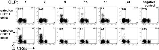 Figure 5. CD4+ and CD8+ T-cell specificity of a DC-expanded T-cell line. MDDCs derived from an HIV+ subject were mock transfected or transfected with LysoNef mRNA and matured with cytokine cocktail. CFSE-stained autologous PBMCs were cocultured with transfected MDDCs for 14 days. The resulting T-cell lines were tested by ELISpot with an array of 27 OLPs spanning the consensus Nef sequence (not shown): T cells expanded with nef RNA responded to 6 of the OLPs, whereas no significant response was expanded by mock-transfected MDDCs. For each of the 6 peptides that elicited a strong response by ELISpot, the T-cell line was tested in an ICS assay to determine the percent specificity and degree of proliferation of CD4+ and CD8+ T cells. A peptide that elicited no response by ELISpot was used as the irrelevant control.