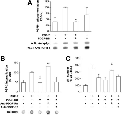 Figure 3. FGF-R1 phosphorylation, FGF-2 internalization, and PDGF-Rα role. (A) On HUVEC lysates, FGF-R1 phosphorylation was evaluated by immunoprecipitation and was found to be markedly inhibited by FGF-2/PDGF-BB treatment (10 minutes) compared with FGF-2 alone (*P < .001 vs FGF-2). Apparently, PDGF-BB alone induces FGF-R1 phosphorylation, according to data previously reported,36 although a statistical significance was not reached in our experiments (B) FGF-2 internalization was abolished by PDGF-BB (*P < .05 vs FGF-2) and PDGF-Rα–neutralizing antibody restored FGF-2 internalization, whereas neutralizing PDGF-Rβ had no effect (**P < .01 vs FGF-2/PDGF-BB). (C) PDGF-BB inhibitory effect on FGF-2 mitogenic activity (*P < .05 vs FGF-2) was abolished by neutralizing PDGF-Rα (**P < .05 vs FGF-2/PDGF-BB), whereas PDGF-Rβ neutralization was ineffective. Bars indicate quantification of 3 experiments; 1 representative experiment is reported for each panel.