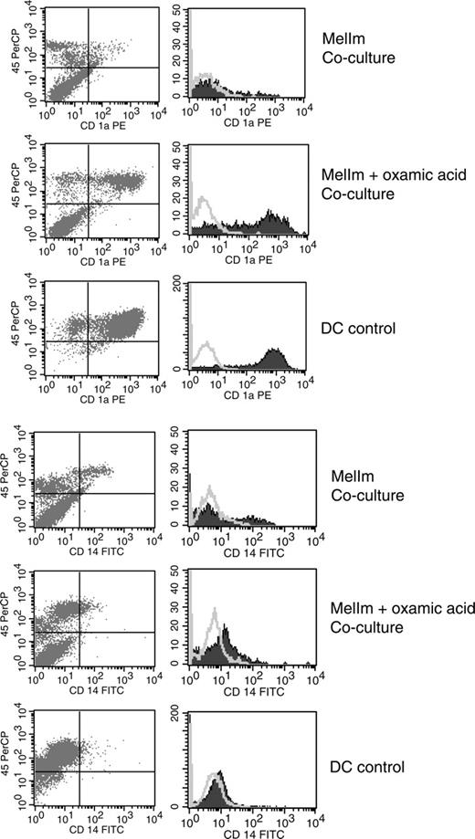 Figure 5. Inhibition of lactic acid production reverts the phenotypical changes in the direct MelIm MCTS coculture. MelIm MCTSs were generated in the presence or absence of oxamic acid. To exclude the possibility that oxamic acid influences DC differentiation directly, MCTSs were washed before adding the monocyte suspension. After 5 to 7 days in coculture, MCTSs were dissociated by vigorous pipetting and stained with mouse anti-human CD45 antibody in combination with antibodies against CD1a and CD14. The same staining procedure was performed with control DCs. Histograms represent CD45+ cells. The figure shows 1 representative experiment of 3. Open histograms represent isotype controls; filled histograms, specific staining.