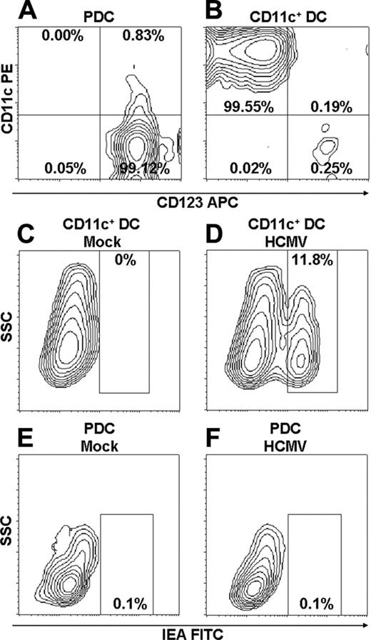 Figure 1. CD11c+ DCs are infected at low frequencies with HCMV, whereas PDCs are resistant. Purity of PDCs (A) and CD11c+ DCs (B) after multiple rounds of positive selection using MACS beads was analyzed by flow cytometry. Results of 1 of 17 representative experiments are shown. Mean purity of 98.98% ± 0.59% and 98.68% ± 1.51% were obtained for PDCs and CD11c+ DCs, respectively (n = 17; separate donors). For details, see “Materials and methods.” PDCs and CD11c+ DCs were incubated with mock (C, E) or TB40/E (MOI, 10) (D, F) and were cultured for 84 hours. Infection of DCs was detected as cells positive for IEA by intracellular staining and was analyzed by flow cytometry (D, F). Results of 1 of 8 representative experiments are shown (separate donors).