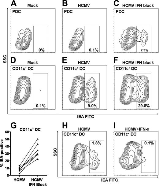 Figure 4. CD11c+ DCs are protected against HCMV infection by autocrine production of IFN-α, whereas PDCs might use other mechanisms. PDCs (A-C) or CD11c+ DCs (D-G) were incubated with mock or TB40/E (MOI, 20) in the absence or presence of IFN-blocking cocktail, as indicated. Infection was assessed by flow cytometric analysis of anti-IEA in 7 experiments with separate donors (G; P < .001). CD11c+ DCs were incubated with HCMV2006 in the absence (H) or presence (I) of exogenous IFN-α at a concentration of 10 ng/mL. Results of 1 of 3 representative experiments are shown (separate donors).