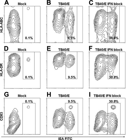 Figure 5. HCMV exposure increases levels of MHC class I, MHC class II, and CD83 on CD11c+ DCs through IFN-α-dependent and -independent mechanisms. (A-I) CD11c+ DCs were incubated with mock or TB40/E (MOI, 20) in the absence or presence of IFN-blocking cocktail, as indicated, and were cultured for 84 hours. Cells were then surface labeled with antibodies to MHC class I (HLA-ABC), MHC class II (HLA-DR), or CD83, respectively, followed by intracellular staining of IEA. Results of 1 of 3 to 8 representative experiments are shown (separate donors).