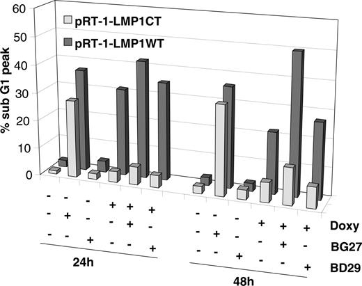 Figure 5. Induction of CD95-mediated apoptosis depends on LMP1 in LCL cells. pRT-1-LMP1CT (light gray bars) and pRT-1-LMP1wt (dark gray bars) transfected cells were pretreated with (+) or without (-) doxycycline for 36 hours. Cells were maintained ± doxycycline and additionally treated with the anti-CD95 agonistic mAb BG27 or with the CD95-neutralizing mAb BD29 for 24 hours, 48 hours, or left untreated. Apoptosis was quantified by flow cytometry, measuring the percentage of sub-G1 cells after cell staining with the propidium iodide dye of DNA.