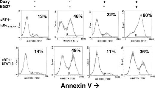 Figure 6. Induction of CD95-mediated apoptosis in LCL cells. pRT-1-IκBαS32,36A–transfected (upper panel) or pRT-1-STAT1β–transfected (lower panel) cells were pretreated with (+) or without (-) doxycycline for 36 hours. Cells were maintained ± doxycycline and additionally treated with the anti-CD95 agonistic mAb BG27 for 24 hours or left untreated. Percentage of annexin V–positive cells is indicated in each graph. Results were confirmed by quantification of sub-G1 peak of cells (not shown).