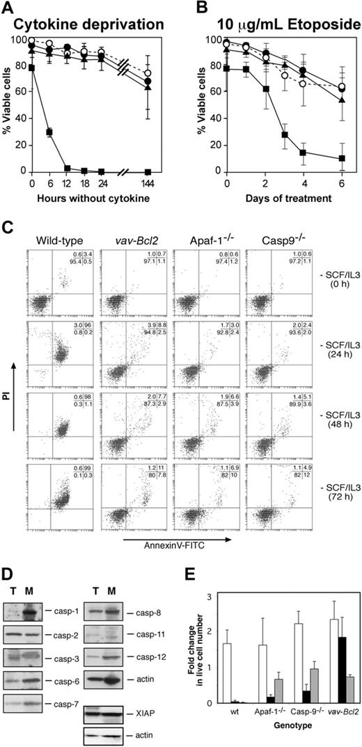 Figure 3. Analysis of mast cell survival. (A,C) Survival of wild-type, Apaf-1-/-, caspase-9-/-, and Bcl2 transgenic mast cells in the absence of cytokines or (B) during treatment with 10 μg/mL etoposide. Cell viability was measured by exclusion of PI (A,B) or by staining with PI plus annexin V-FITC (C). (A-B)▪ indicates wild type; •, Apaf-1-/-; ▴, caspase-9-/-; and ○, vav-Bcl2. (D) Expression of caspases and the caspase inhibitor XIAP as determined by Western blotting of lysates from wild-type thymocytes (T) and wild-type fetal liver-derived mast cells (M). Probing for actin served as a loading control. (E) Cytokine-induced proliferation of wild-type, Apaf--/-, caspase-9-/-, and Bcl2 transgenic fetal liver-derived mast cells following cytokine deprivation for 24 hours. Cells were enumerated 6 days after re-addition of cytokine or after 6 days of cytokine deprivation, and cell numbers are expressed relative to the initial number of cells in the culture. □ indicates no delay in re-addition; ▪, 24 hours delay; and ▦, cytokines never added. Graphs indicate mean ± SD (in panel A, n = 19, wild type; n = 4, Apaf-1-/-;n = 4, caspase-9-/-;n = 3, vav-Bcl2;in panel B, n = 11, wild type; n = 3, Apaf-1-/-;n = 4, caspase-9-/-;n = 3, vav-Bcl2;in panel E, n = 3 for all genotypes, except n = 4 for caspase-9-/-).