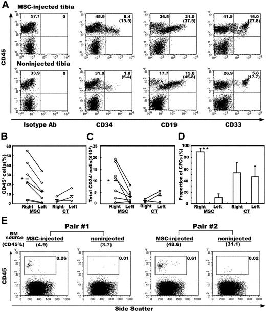 Figure 4. Effect of human MSCs on the engraftment of human hematopoietic cells. (A) BM cells obtained from the MSC-injected or noninjected tibia from the same mouse were examined by flow cytometry at 6 weeks after transplantation. Representative flow cytometric profiles are shown. The relative frequencies of each population are shown at the corner of the respective quadrants. The numbers in parentheses indicate the proportion of CD45+ cells positive for each marker. (B) Percentages of human CD45+ cells in the right (injected) and the left (noninjected) tibia of the MSC-injected (MSC) and control mice (CT). (C) Absolute numbers of CD34+ cells in the right and the left tibia of the MSC-injected and control mice. Each white circle represents one mouse. Values obtained from the same mouse are connected with lines. (D) Distribution of clonogenic progenitors into the right and the left tibia of the MSC-injected and control mice. The proportions of clonogenic cells present in the respective tibia over the total number of clonogenic cells recovered from both tibiae of each mouse are shown (n = 3). *P < .05 and **P < .01 relative to the noninjected (left) tibia. (E) Secondary transplantation. BM cells obtained separately from the MSC-injected or noninjected tibia from the same mouse were transplanted into separate secondary hosts. Human cell engraftment was analyzed by CD45 expression at 6 weeks after transplantation. Results of 2 pairs of secondary host are shown. Numbers in parentheses above each flow cytometric profile show the percentage of CD45 cells in the BM cells of primary host. The relative frequencies of CD45 cells in secondary hosts are shown in each profile.