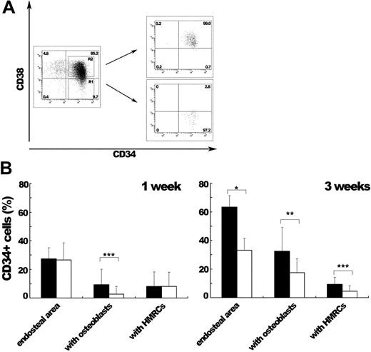 Figure 6. In vivo localization of CD34+ cells and their interaction with HMRCs after IBMT of CD34+CD38- or CD34+CD38+ populations together with human MSCs. (A) Sorting profiles of CD34+CD38+ and CD34+CD38- populations. The relative frequencies of each population are shown in the corner of the respective quadrants. (B) At 1 or 3 weeks after IBMT, bone sections were stained with an anti-CD34 antibody and examined for counting. Eighteen slides from 3 mice for each group were counted to obtain the proportion of CD34+ cells localized to the endosteum (endosteal area) at the both time points. CD34+ cells in the endosteal area were further categorized into cells attaching to bone-lining osteoblasts (with osteoblasts) and cells interacting with HMRCs (with HMRCs). The proportions of CD34+ cells in each category are shown. At 1 week after IBMT, the proportions of CD34+ cells both in the endosteal area and in contact with HMRCs were not different between the 2 groups. At 3 weeks after IBMT, the SRC-enriched CD34+CD38--transplanted group had the higher proportions of CD34+ cells in the endosteal area as well as those interacting with HMRCs. At the both time points examined, the proportion of CD34+ cells interacted with osteoblasts was higher in the SRC-enriched CD34+CD38--transplanted group. Bars represent the CD34+CD38--transplanted group (▪) and the CD34+CD38+-transplanted group (□). *P < .001, **P < .005, and ***P < .05 relative to the CD34+CD38+ group.