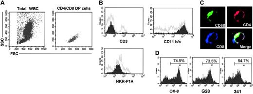 Figure 2. Characterization of CD4+/CD8+ cells in the peripheral blood of FW-pX rats. Peripheral blood from 6-week-old FW-pX rats was used. In each experiment, at least 3 rats were used. Representative data are shown. (A) Peripheral blood cells were stained with FITC-conjugated anti-CD4 (OX-35) and PE-conjugated anti-CD8 (OX-8) Abs, followed by depletion of erythrocytes. CD4/CD8 DP cells were gated to confirm that these cells were mononuclear cells. WBCs indicates white blood cells. (B) Peripheral blood cells were stained with FITC- or PE-conjugated anti-CD4 (OX-35), PerCP-conjugated anti-CD8 (OX-8), and FITC- or PE-conjugated anti-CD3 (G4.18), CD11b/c (OX-42), or NKR-P1A Ab (10/78), followed by depletion of erythrocytes. Painted histograms represent the expression of CD3, CD11b/c, and NKR-P1A on CD4+/CD8+ cells. Gray histograms represent the expression of these molecules on total PBMCs. (C) Mononuclear cells separated from the spleen of FW-pX rats were cultured in chamber slides at 37°C for 1 hour. Resultant adherent cells were fixed using cold acetone for 5 minutes and then stained for CD68 (ED-1, green), CD4 (OX-35, red), and CD8 (OX-8, blue). The merged image shows the cell stained with 3 colors (total magnification: × 600). (D) Peripheral blood cells were stained with FITC-conjugated anti-CD4 (OX-35) and PE-conjugated anti-CD8 Abs for the α-chain hinge region (OX-8), α-chain Ig V-like region (G28), or β-chain (341) followed by depletion of erythrocytes. Histograms represent reactivity with the anti-CD8 Abs gated on CD4medium cells.