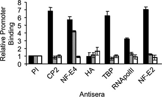 Figure 4. Reduced binding of CP2 and RNA polymerase II to the SSE in K562 cells overexpressing p14 NF-E4 demonstrated by ChIP. Chromatin from K562 cells transduced with either the MSCV (▪) or MSCV p14 NF-E4-HA (, □) retrovirus was immunoprecipitated using antisera to CP2, NF-E4, HA, TBP, RNA polII, and p45 NF-E2 as indicated. Preimmune sera served as the control (PI). Quantitative PCR was performed with primer pairs to amplify the SSE in the γ-promoter SSE (▪, ) or the MYOD gene (□).