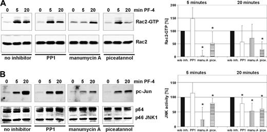 Figure 6. Syk and Ras are located upstream of Rac2 and JNK. Neutrophils were pretreated for 20 minutes with Src-kinase inhibitor PP1 (50 μM), Ras farnesyltransferase inhibitor manumycin A (15 μM), or Syk inhibitor piceatannol (40 μM) or without inhibitor and subsequently were stimulated with 4 μM PF4 for 5 or 20 minutes. Cells were lysed, and activation of Rac2 (A) or JNK (B) was determined as described in Figures 3 and 5B, respectively. Quantification of relative density of protein bands was performed using Odyssey software 1.2 (background method: median, top/bottom). Band density in untreated cells was set as 100%, and the densities of protein bands in inhibitor-treated cells were calculated as percentage of untreated cells. Data represent mean ± SD of 5 independent experiments. Statistical analysis using one-way ANOVA indicates significant differences (*P < .045) between inhibitor-treated and untreated samples based on the data from 5 individual experiments.