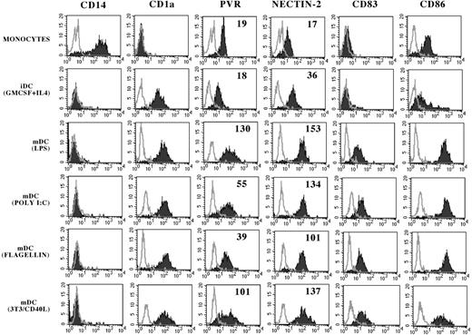 Figure 1. PVR and Nectin-2 expression on monocytes, iDCs, and mDCs. Monocytes (gated on PBMCs by physical parameters in FSC/SSC dot plot) or cultured iDCs or mDCs (obtained using the indicated culture conditions) were analyzed by flow cytometry with mAbs to the indicated molecules. White profiles represent isotypic negative controls. Numbers indicate the mean fluorescence intensity (MFI).