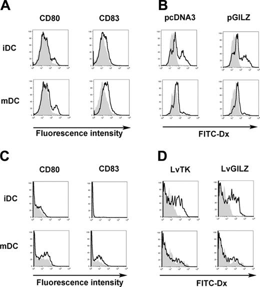 Figure 4. GILZ effect on DC maturation. (A-B) MoDCs were nucleofected with either pcDNA3 or pGILZ and stimulated with CD40L or left unstimulated, creating mature DCs (mDCs) and immature DCs (iDCs), respectively. (A) CD80 and CD83 expression was analyzed in DCs transfected with pcDNA3 (bold lines) or pGILZ (gray histograms). (B) phagocytosis of FITC-Dx was analyzed at 37°C (bold lines) or at 4°C (gray histograms). (C-D) CD34-DCs were infected with LvGILZ or LvTK on day 8 of culture. CD40L was added or not on day 10. Results shown are gated on CD90+ (transduced) DCs. (C) DC phenotype was determined on day 12. Bold lines and gray histograms correspond to LvTK- and LvGILZ-infected DCs, respectively. (D) Phagocytosis of FITC-Dx was determined at 37°C (bold lines) or 4°C (gray histograms). Results are from 1 representative experiment of 3.