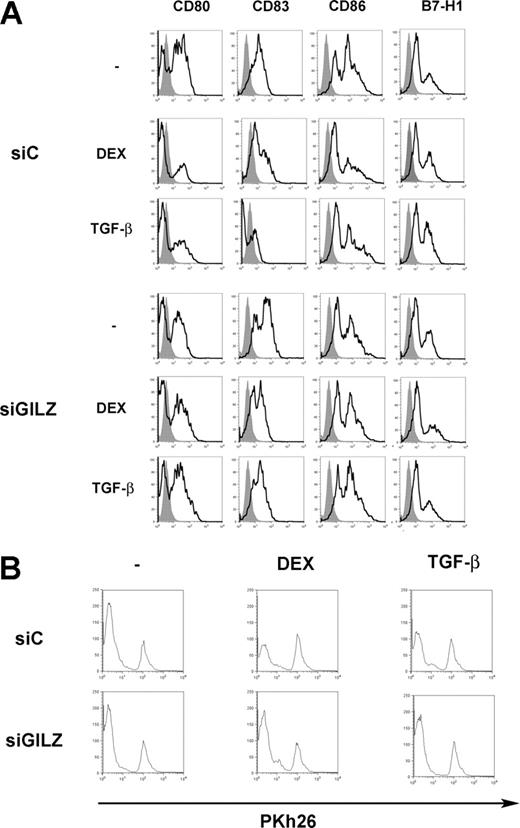 Figure 6. GILZ involvement in TGFβ-induced alterations of DC functions. (A) MoDCs were treated on day 5 with DEX, TGFβ, or medium, and with control (siC) or GILZ (siGILZ) siRNA. On day 7, DC phenotype was determined. (B) MoDCs were treated on day 5 with control (siC) or GILZ (siGILZ) siRNA and with DEX, TGFβ, or medium. They were loaded with PPD, washed, and mixed with autologous CD4+ T lymphocytes on day 7. Lymphocyte proliferation was determined by Pkh26 fluorescence intensity. One typical experiment of 2 is shown.