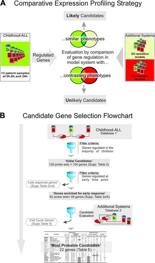 Figure 1. Comparative expression profiling strategy and general work flow. (A) The principle of comparative expression profiling exemplified by evaluating candidate genes (ie, genes regulated in the majority of childhood ALL samples) in additional GC-sensitive and GC-resistant systems. Coregulation in the former supports, whereas coregulation in the latter argues against, a potential role of a candidate gene in the death response. Other relevant information, such as interspecies conservation, de novo protein biosynthesis-dependence, etc, can also be derived by comparisons with the additional systems as outlined in Table 1. (B) Summary of workflow described in “Introduction.” The complete databases are available at www.ncbi.nlm.nih.gov/geo/ (GEO accession numbers: GSE2677, GSE2842, GSE2843). Tables corresponding to various database subsets are shown in the Supplemental Materials, as indicated. The final 22 genes are presented in Table 5. The additional systems comprising database 2 and their use for evaluating the possible significance of the candidate genes in the death response are explained in Table 1.