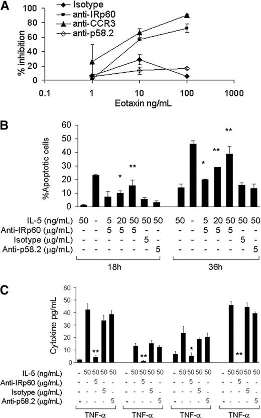Figure 2. IRp60 inhibits eotaxin-induced eosinophil transmigration and IL-5/GMCSF-induced eosinophil survival and activation. Eosinophils were incubated with either anti-IRp60 or control antibodies (isotype, anti-p58.2), followed by sheep anti-mouse F(ab′)2 to cross-link IRp60 receptors. The cells were washed and used in 3 different assays: (A) transmigration, (B) survival, and (C) mediator release. (A) Transmigration was assessed in a microwell dual-chamber system in response to recombinant human eotaxin (1-100 ng/mL) for 90 minutes (37°C, 5% CO2). After incubation, the cells that migrated to the lower chamber were evaluated by FACS analysis obtained by acquiring events for 60 seconds. Data are expressed as percent inhibition of eotaxin-treated cells ± SD; n = 4. (B) Eosinophil survival was evaluated by incubating them with various concentrations of IL-5/GM-CSF (5-50 ng/mL) for the indicated time points. Thereafter, the cells were assessed for apoptosis using annexin V-PI staining (n = 4; *P < .05; **P < .005). (C) Eosinophil mediator release was evaluated by incubating the cells with various concentrations of IL-5/GM-CSF (5-50 ng/mL) for 18 to 20 hours. Cytokine release in the cell supernatants was measured by using the FlowMultiplex array. Data are expressed as pg/mL of each cytokine ± SD (n = 5; *P < .05; **P < .005).