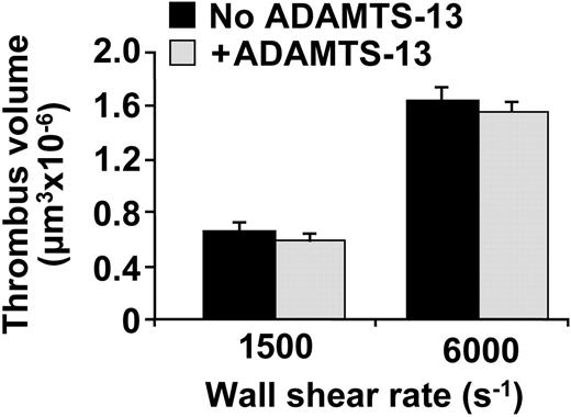 Figure 6. Effect of recombinant ADAMTS13 on platelet thrombus formation on fibrillar collagen type I under flow conditions. The bar graph shows the volume of thrombi formed after perfusion of whole blood containing 93 μM PPACK over a surface of 62 500 μm2 coated with collagen type I fibrils. The blood was supplemented or not with recombinant ADAMTS13, as indicated, which was added at least 15 minutes before perfusion. The protease activity added corresponded to 17.5% of that present in normal blood. The wall shear rate was 1500 s-1 for 7 minutes or 6000 s-1 for 4.5 minutes, as indicated. The values represent the mean ± SEM of 2 experiments performed with blood from different donors. The results obtained with or without addition of ADAMTS13 were not significantly different.