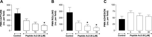 Figure 1. Effect of peptide Ac2-26 on PMN interaction with HUVECs under flow. PMNs were incubated with peptide Ac2-26 for 10 minutes prior to flow over TNF-α-stimulated (10 ng/mL, 4 hours) HUVECs. PMN-endothelium interactions were quantified off-line. (A) Number of PMNs captured. (B) Number of rolling PMNs. (C) Number of firmly adherent PMNs. Data are presented as mean ± SEM of 3 independent experiments. *P < .05 versus control group.