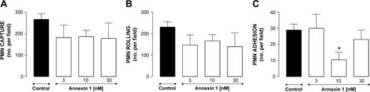 Figure 2. Effect of ANXA1 on PMN interaction with HUVECs under flow. PMNs were incubated with ANXA1 for 10 minutes prior to flow over TNF-α-stimulated (10 ng/mL, 4 hours) HUVECs. PMN-endothelium interactions were quantified off-line. (A) Number of PMNs captured. (B) Number of rolling PMNs. (C) Number of firmly adherent PMNs. Data are presented as mean ± SEM of 3 to 5 independent experiments. *P < .05 versus control group.