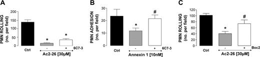Figure 6. Impact of a neutralizing anti-FPRL-1/ALX mAb on ANXA1 effects PMN interaction with HUVECs under flow. (A) PMNs were incubated with a neutralizing anti-FPRL-1/ALX mAb (6C7-3, 5 μg/mL) for 1 hour at 37°C prior to addition of 30 μM peptide Ac2-26. (B) PMNs were incubated with a neutralizing anti-FPRL-1/ALX mAb (6C7-3, 5 μg/mL) for 1 hour at 37°C prior to addition of ANXA1 (10 nM). (C) PMNs were incubated with Boc2 (10 μM) for 10 minutes prior to addition of Ac2-26 (30 μM). In all cases, the number of rolling or adherent PMNs was quantified off-line. Data are presented as mean ± SEM of 3 to 5 independent experiments. *P < .05 versus respective control group. #P < .05 versus appropriate ANXA1 or peptide Ac2-26 group.