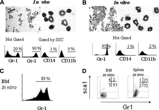 Figure 1. In vivo and in vitro treatment with rhG-CSF generates LDGs. C57BL/6 mice were treated with subcutaneous rhG-CSF injections, and cytospin slides were prepared with the low-density fraction (Ficoll-Hypaque gradient) of spleen cells. Hematoxylin and eosin (H&E) staining (A, top panels, 40 × and 100 × magnification). Low-density cells were stained as indicated and analyzed by flow cytometry, gated or not on SSC × FSC plots, as indicated (A, bottom panels). High-density spleen cells from C57BL/6 mice were treated in vitro with rhG-CSF for 15 hours, after which they where passed over a Ficoll-Histopaque Plus density gradient, and the low-density fraction was collected and stained with H&E (B, top panels, 40 × and 100 × magnification) The same population was also stained with the indicated antibodies and analyzed by flow cytometry ungated population (B, bottom panels). Bone marrow HDCs were treated with G-CSF, after which, the low-density cells were obtained and stained with anti-Gr1 antibody. Data shown were obtained from the total, not the gated, population (C). BM LDGs generated in vitro (not gated) and spleen LDGs generated in vivo (gated on high SSC) were analyzed for the presence of immature cells using Sca-1– and Gr1-specific mAb (D). Results are representative of 5 different experiments.
